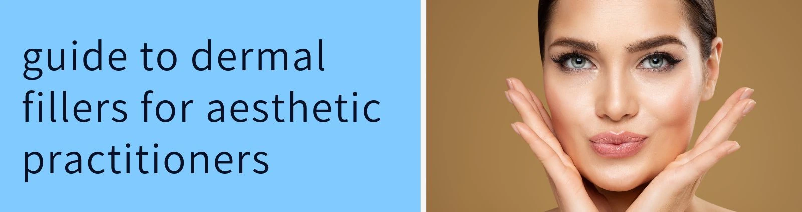 Aesthetics Wise - Guide to Dermal Fillers for Aesthetic Practitioners - new